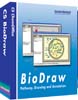 Read BioDraw article